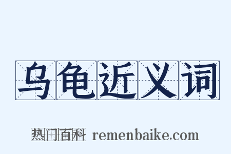 乌龟近义词是什么意思的图片